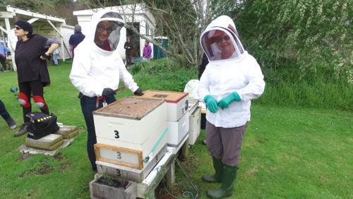 Field Day 11-07-20 - 01