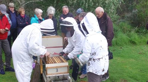 Field Day 11-07-20 - 10