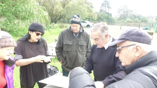 Field Day 11-07-20 - 13