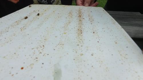 Field Day 11-07-20 - 14