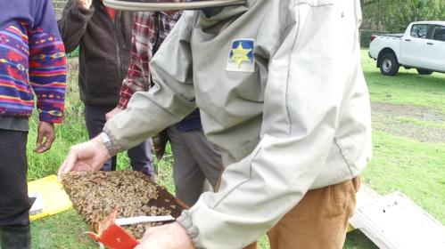 Field Day 11-07-20 - 16