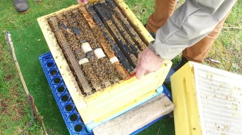 Field Day 11-07-20 - 11