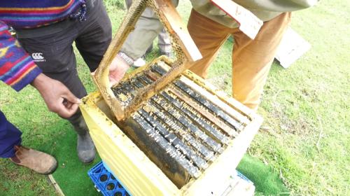 Field Day 11-07-20 - 18