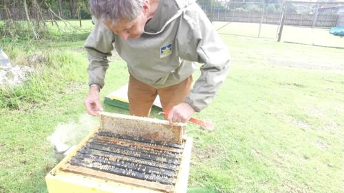 Field Day 11-07-20 - 19