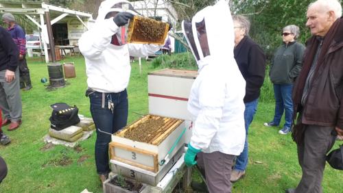 Field Day 11-07-20 - 03