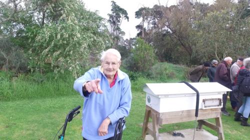 Field Day 11-07-20 - 04